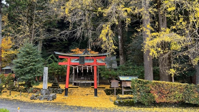 三尾三山の紅葉狩りを振り返る⑤岩戸落葉神社と「いのししラーメン」