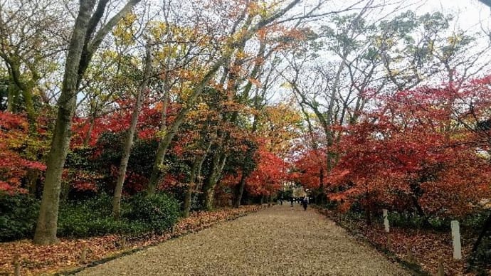 下鴨神社