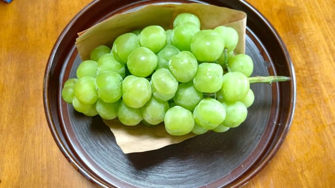 夏休み最後の日、ジェラシックワールドを一緒に見に行きました。