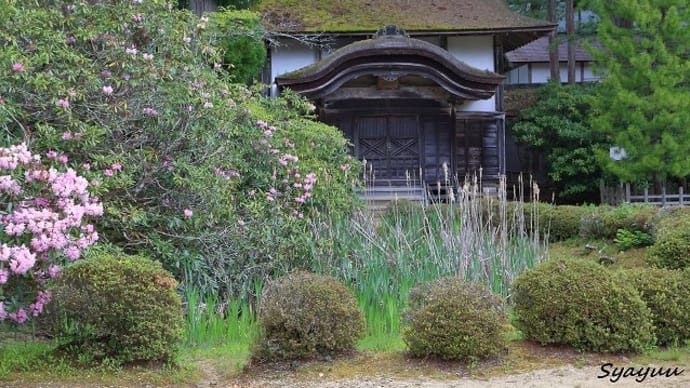 高野町