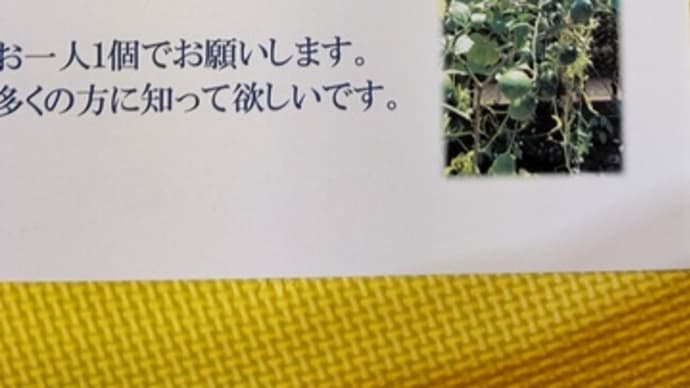 無農薬レモン差し上げます