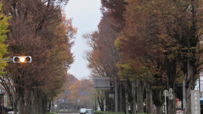 時雨来て秋の名残が散り急ぐ
