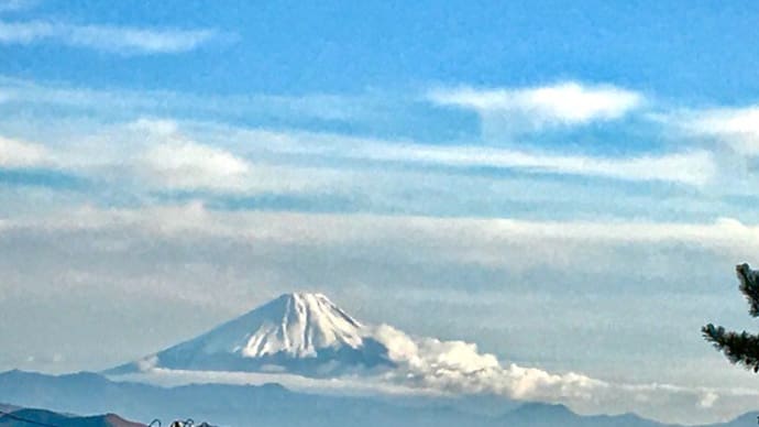 清里高原からの富士山は、雲の上に ～　黄葉も終盤～鹿のおさんぽ～