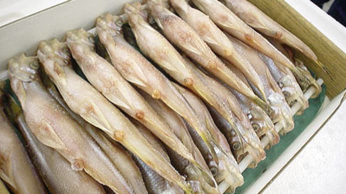 柳葉魚（シシャモ）