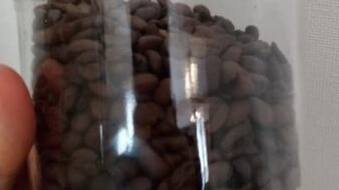 コーヒー好きあるある!?コーヒーは缶で保管すると良いの?