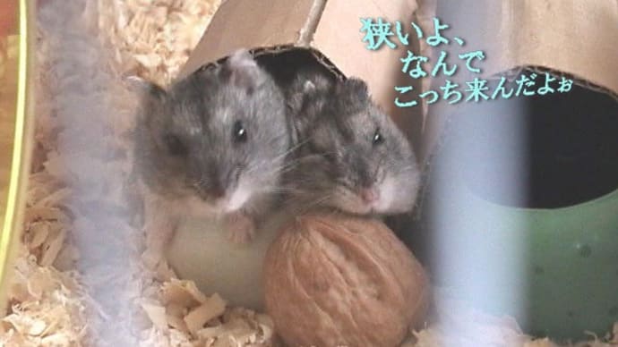 「多大なご迷惑を与えて」って?