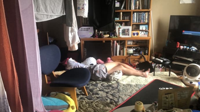 甥泊まりに来るの巻