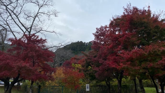 頂上の蕎麦