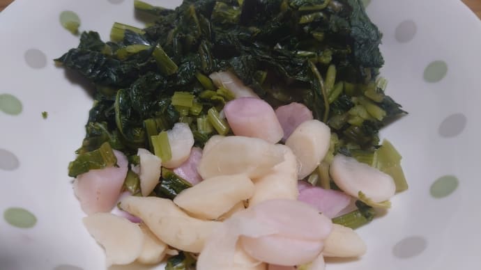「日野菜漬け」