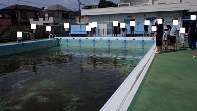 今年も張り切って! ヤゴ救出大作戦!!