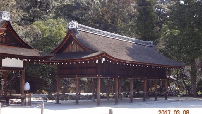 パワースポット探索 賀茂別雷神社 上賀茂神社 魂のよろこぶ グループレッスン 鑑定 やってます パワースポット探索 賀茂別雷神社 上賀茂神社 魂のよろこぶ グループレッスン 鑑定 やってます