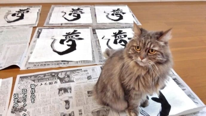 猫と作品選定