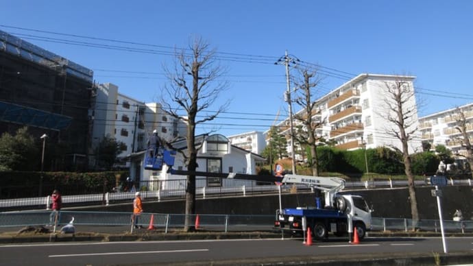 初冬　近所をぶらり散歩