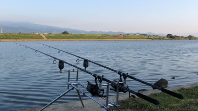 10月7日の鯉釣り