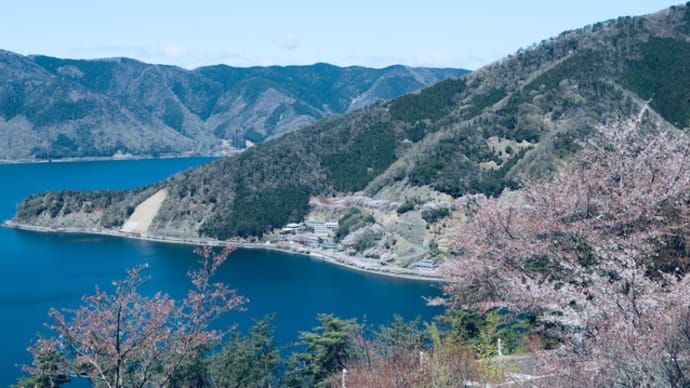 3578)桜・・・
