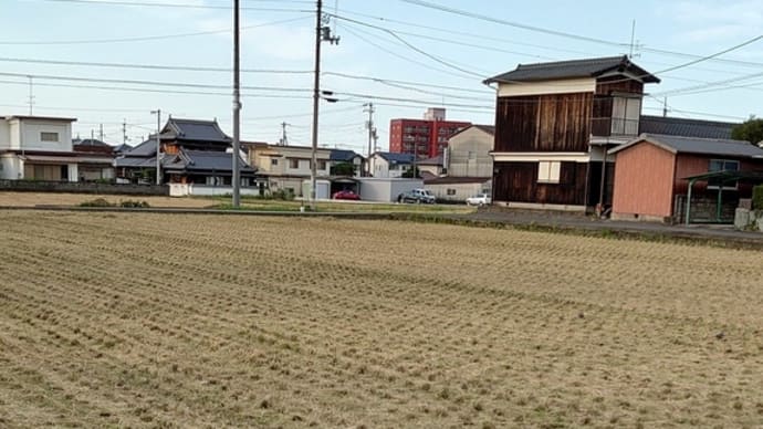 川沿いの道端で