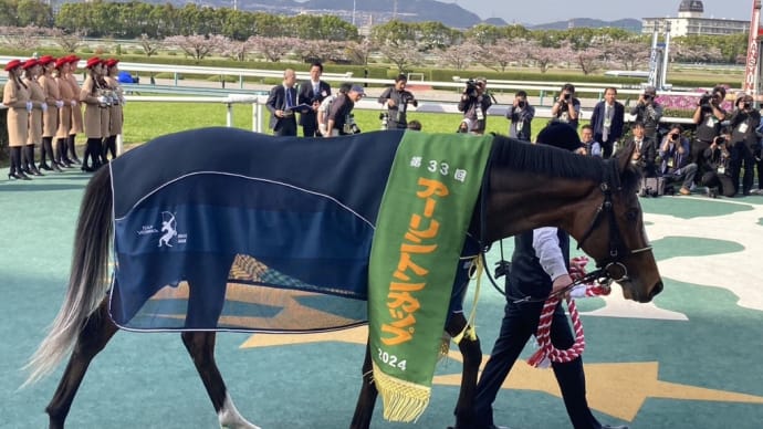 愛馬ディスペランツァ新潟G3関谷記念マイル戦出走9着でした