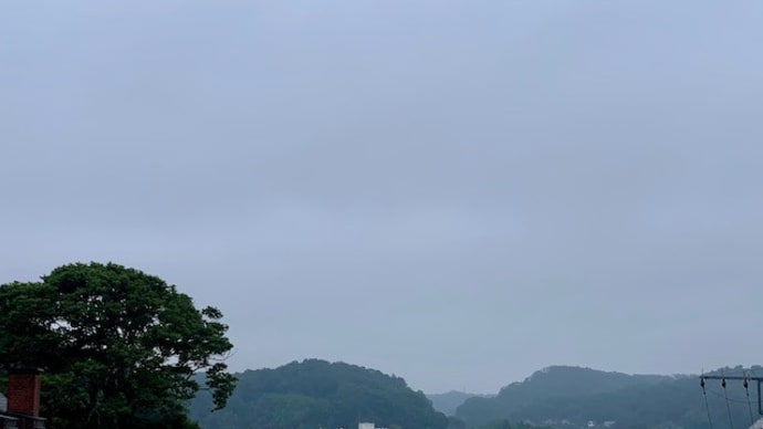 エクボ八重歯は死語になる?”新しい生活様式がもたらす新しい時代”(2)