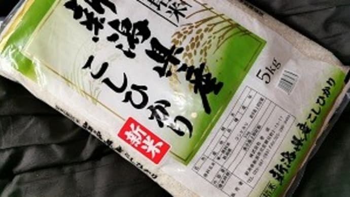 新潟県産こしひかり♪
