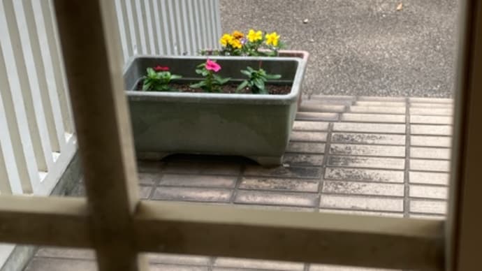 少しだけでも 2023/05/28 日曜日