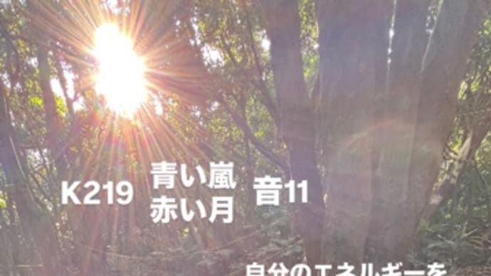 〜マヤ暦 k219 青い嵐・赤い月・音11 〜 嘉津宇岳が呼んでいる