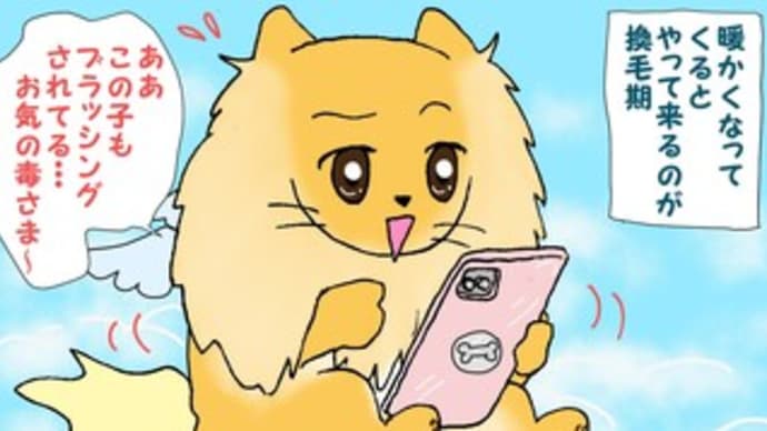 ブラシは敵?