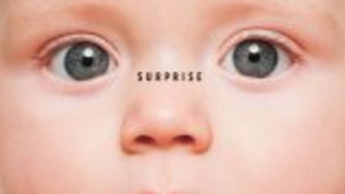 Paul Simon,"Surprise"(2006)