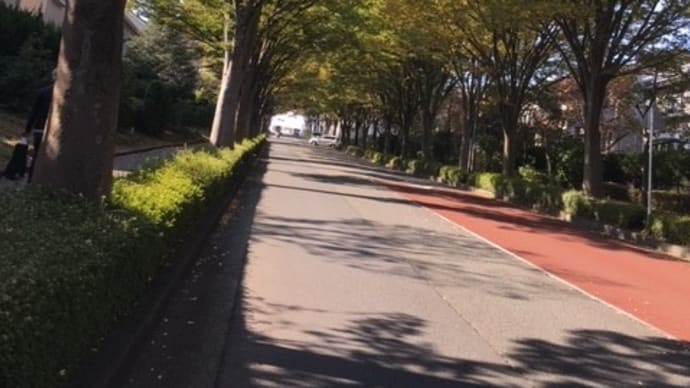 オープンサンド☆血圧とアルコール