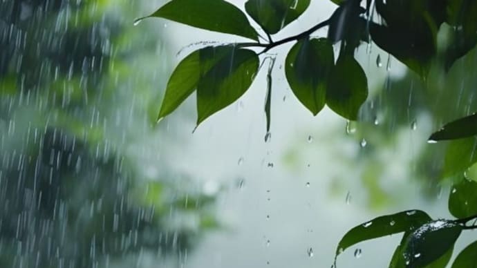 雨の日に思うこと