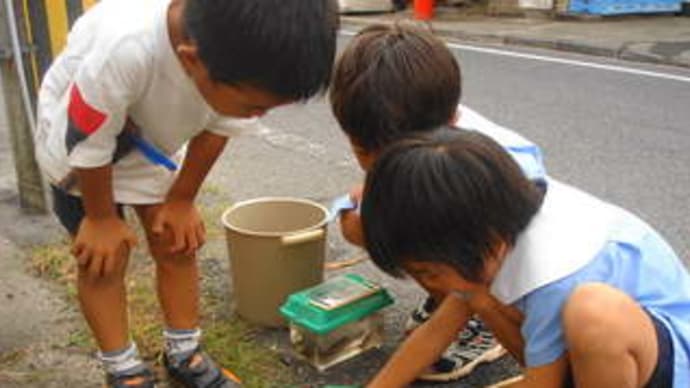 魚獲り