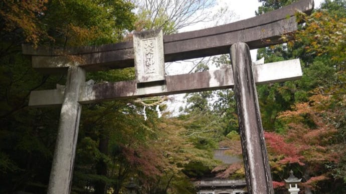 紅葉を見に行く