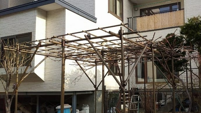 ぶどう棚 作り変え再び・・・
