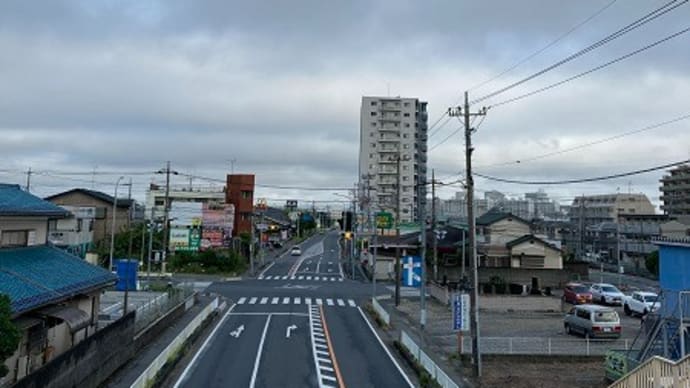 犬と猫との暮らしは終活しなくては・・・台風の心配なお盆~