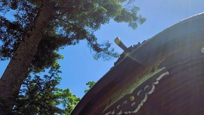 今年も「5.3 府中大國魂神社へ」🌳⛩🌳✨🐤・・