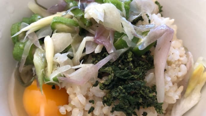 日記 穂紫蘇 みょうが オクラ