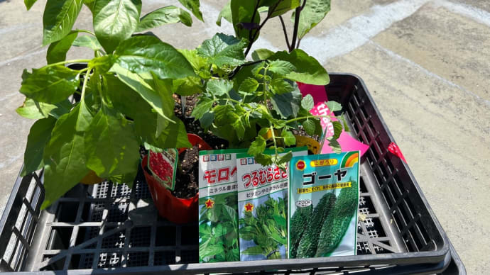 みどりの日🌞