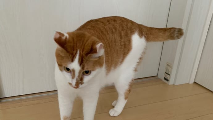 まだ穏やかに晴れていたので