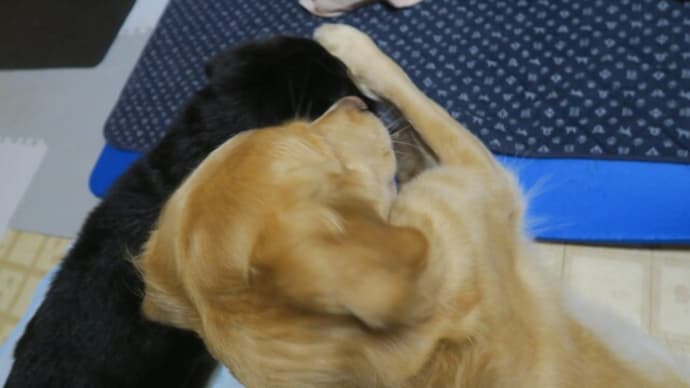 仲良しなの?