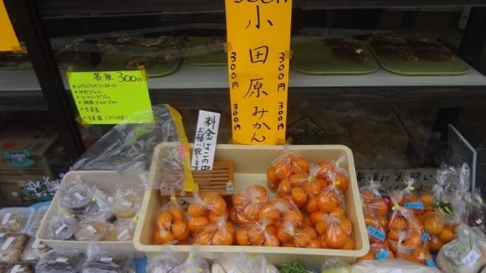 コダマのモーニングはやっぱりいいね~@品川駅