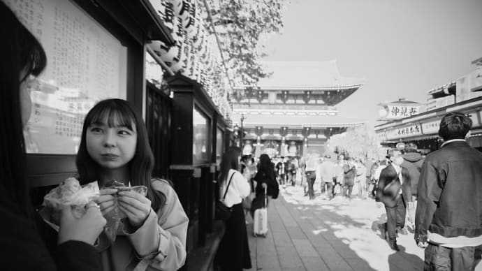 向春の候