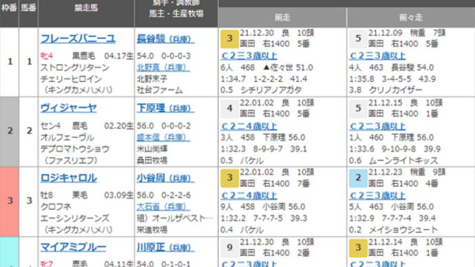 【ヴィジャーヤ】使うごとの良化に期待! 本日1/18園田6Rに出走