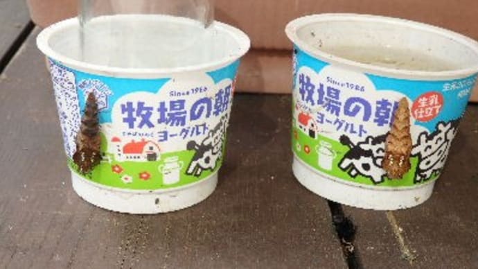 4匹中2匹だけ。