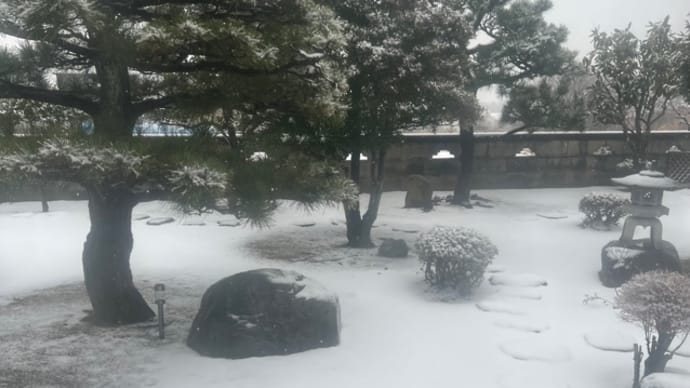 なんとも悩ましく…