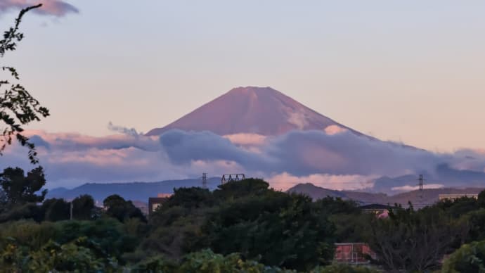 03/Nov 朝焼けの富士山とミサゴとシロチドリとカワセミ