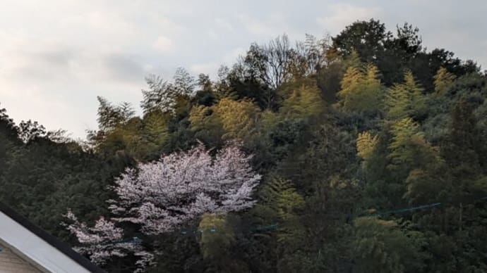 ガイアの言葉 やっぱり寒く感じました