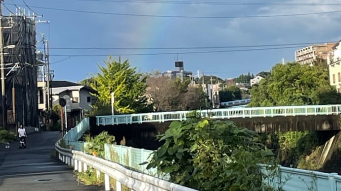 降ったり止んだりの朝の風景