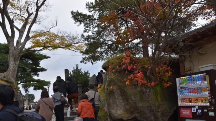 もみじ狩り 宮城県松島町 日本三景松島(15)瑞巌寺五大堂:すかし橋