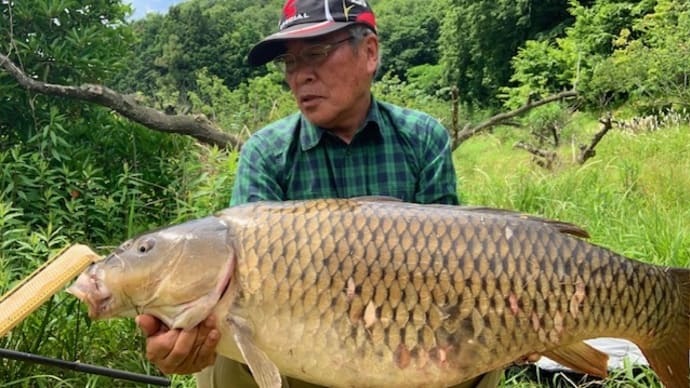 6月に入った水月湖