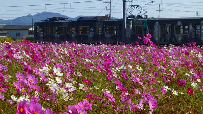 加古川線 ラッピング電車 あと１７日
