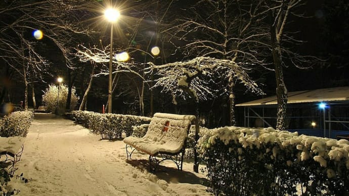 「外は白い雪の夜」唄ってみました。